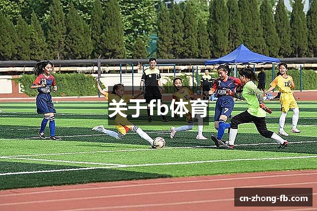 关于fb体育